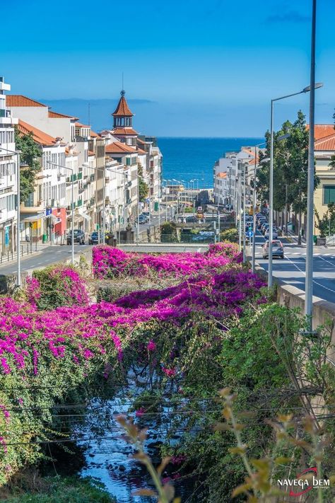 Maderia Portugal, Madeira Funchal, Funchal Madeira, Portuguese Culture, The Azores, Funchal, Portugal Travel, Spain And Portugal, Famous Places