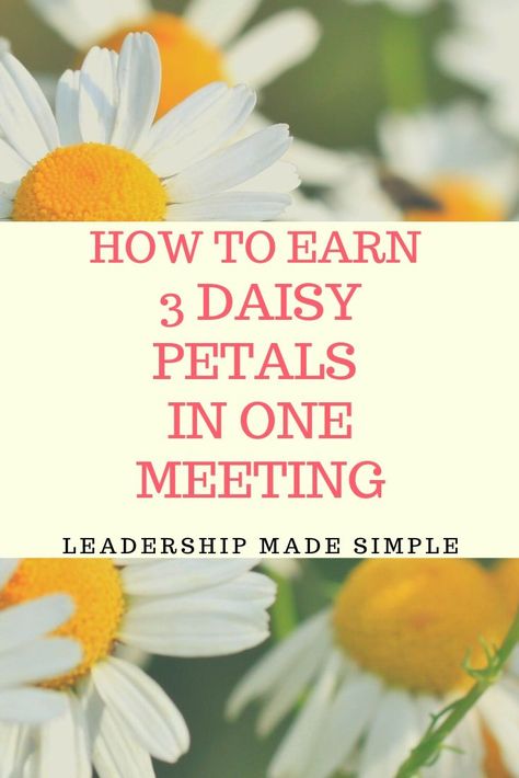 Earn Daisy Petals Activities, Daisy Petals In A Day, Daisy Petals Girl Scouts Activities, Daisy Girl Scouts First Meeting, Girl Scout Meeting Activities, Friendly And Helpful Daisy Petal Ideas, Girl Scout Daisy Petals Activities, Daisy Petals Activities, Girl Scout Daisy Petals