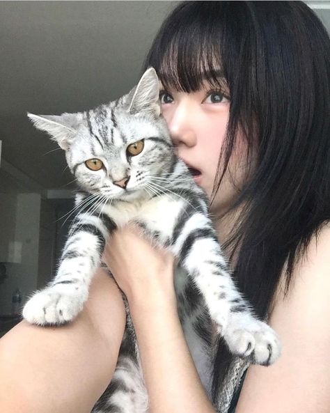 #beauty #beautyfull #koreangirls #한국 #asianbeutie Cat Info, Cat Pose, Cat Icon, Red Books, Many Faces, Korean Beauty, Original Image, Kpop Idol, Cute Cat