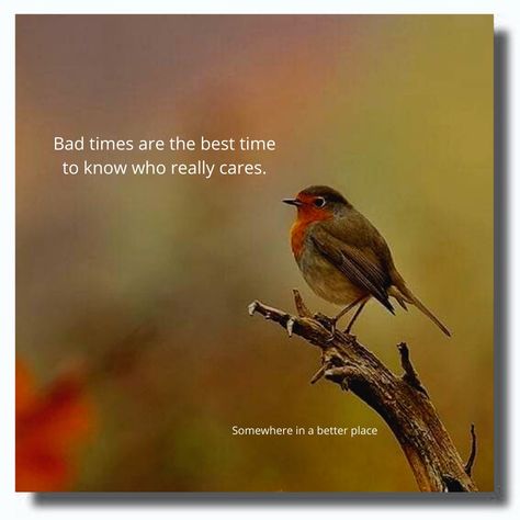 Bad times are the best time to know who really cares. Who Really Cares, Bad Time, Motivational Quotes For Life, Bad Timing, Better Life Quotes, Better Life, Words Quotes, Good Times, Motivational Quotes