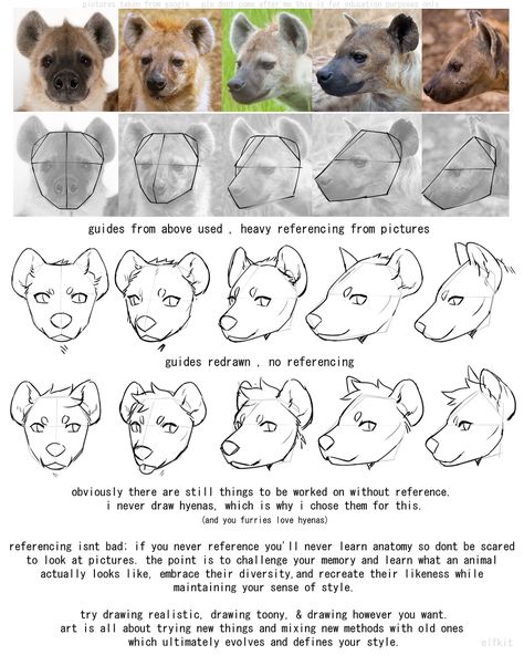 Hyena Reference Drawing, Hyena Art Reference, How To Draw Hyena, Hyena Fursona Base, Hyena Anatomy, Anthro Hyena, Hyena Sketch, Hyena Reference, Hyena Fursona