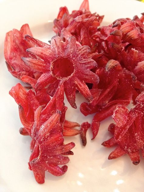 Dried Hibiscus Flowers Make a Tasty Snack! No, really. Hibiscus Recipes Food, Sorrel Jam, Roselle Jam, Hibiscus Recipes, Hibiscus Recipe, Roselle Hibiscus, Nature Recipes, Edible Flowers Recipes, Dried Hibiscus Flowers