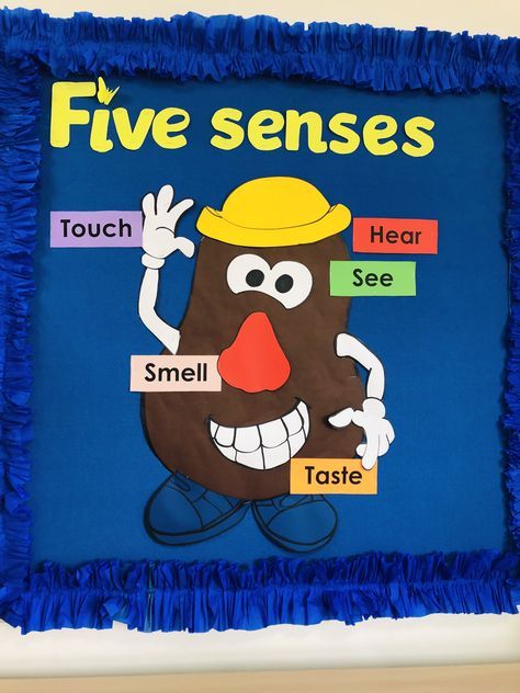 Five Senses Board, Five Senses Bulletin Board, Senses Preschool, School Kids Crafts, School Board Decoration, Kindergarten Classroom Decor, Preschool Bulletin, English Activities For Kids, Preschool Classroom Decor