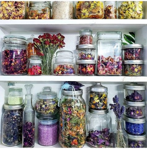 Herbal Medicine Cabinet, Heal Your Soul, Christmas Posts, Herbal Apothecary, Flower Collection, Tea Bar, Kitchen Witch, Green Witch, Edible Flowers