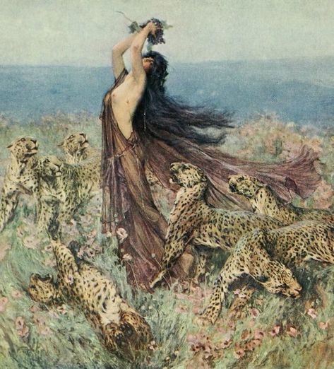 A Bacchante - Arthur Wardle 1909 #Maenad #Maenads #Bacchante #mythology #mythologyart #myths#art#arthistory #beauty#myth#artmythology #love #mythic #mythicalcreatures #mythical #mythological #mytherapy #greekmythology #greekmythologyart #artist #arts #artwork#painting#ZAGREUS#Dionysus #bacchus Dionysus God, Greek Mythology Art, Mythology Art, Postcards For Sale, New York Public Library, Leopards, Gods And Goddesses, Greek Mythology, Public Library