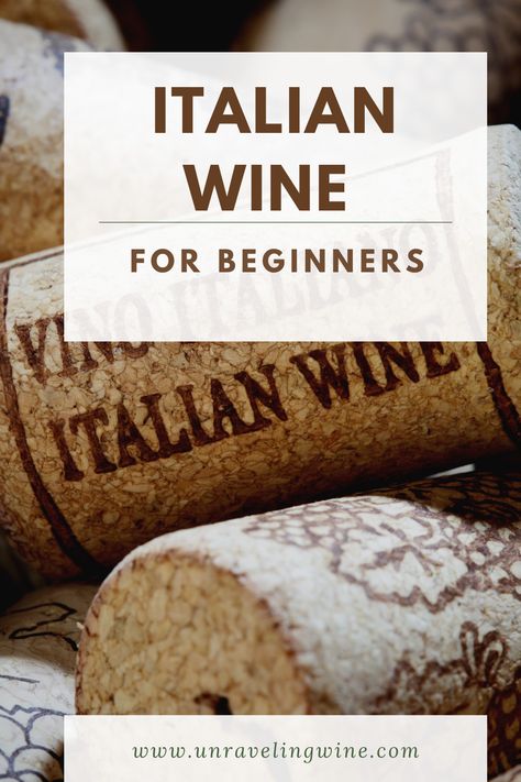 Wine Tasting Food Pairings, Learning About Wine, Italian Wine Tasting, Wine For Beginners, Beginner Wine Guide, Wine Explained, Wine Party Appetizers, Wine Party Food, Wine Tasting Food