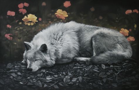 'Sleeping Wolf' acrylic on canvas (60 x 92cm) Wolf Laying Down Reference, Wolf Aethstetic, Sleeping Wolf Illustration, Sleeping Wolf Tattoo, Wolf Sleeping Drawing, Wolf Lying Down, Wolf Laying Down, Wolf Sleeping, Sleeping Wolf