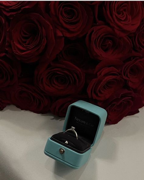 Tiffany True, Tiffany Co Rings, Dream Relationship, Starry Eyed, Dream Engagement, Dream Engagement Rings, Paris Photos, Brilliant Diamond, Marry Me