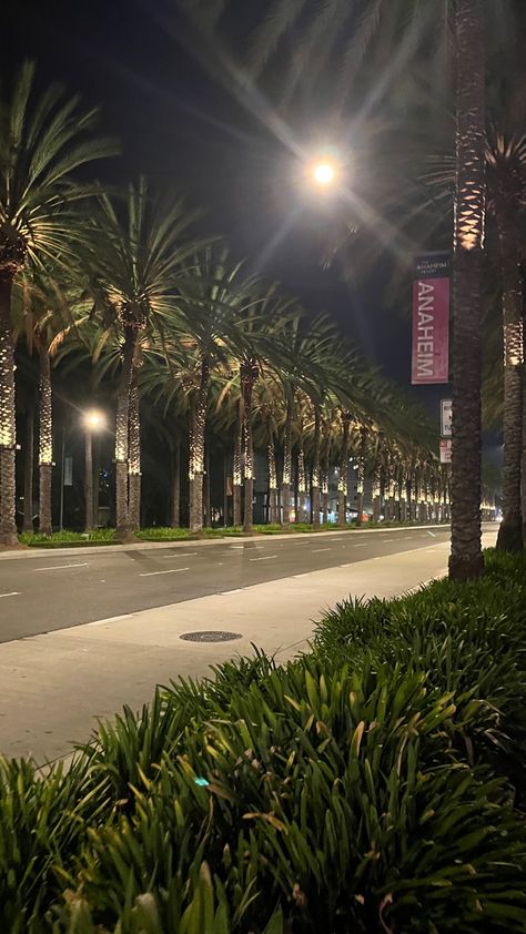 Anaheim California Aesthetic, Anaheim Aesthetic, Cali Aesthetic, California Anaheim, Photography Motivation, Miami Vibes, Night Pics, California Vibe, Anaheim California