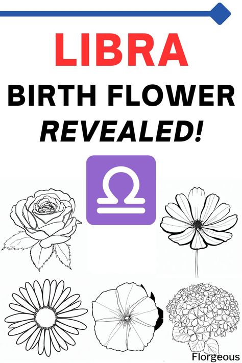 Libra Birth Flower Libra Flower Tattoo Birth Month, Libra Flower Tattoo, Libra Birth Flower, Libra Flower, Libra Symbol, Tattoos To Cover Scars, Libra Tattoo, Libra Women, Birth Flower Tattoos