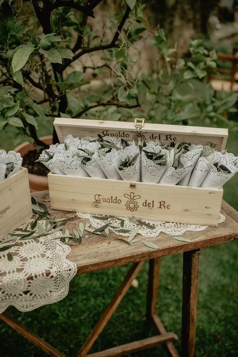 Confetti Display, Diy Confetti Cones, Emma Allen, Confetti Ideas, Confetti Cones, Biodegradable Confetti, Diy Confetti, Olive Leaves, Love Story Wedding