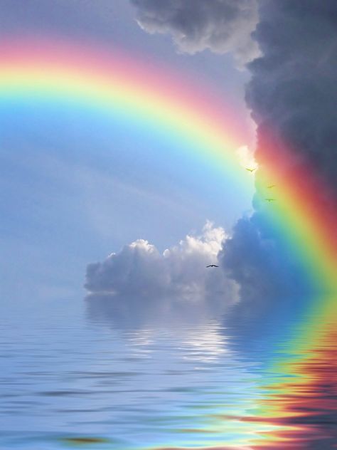 Theme Nature, Rainbow Rain, God's Promise, Love Rainbow, Gods Creation, Pranayama, Beautiful Rainbow, Beautiful Sky, Over The Rainbow