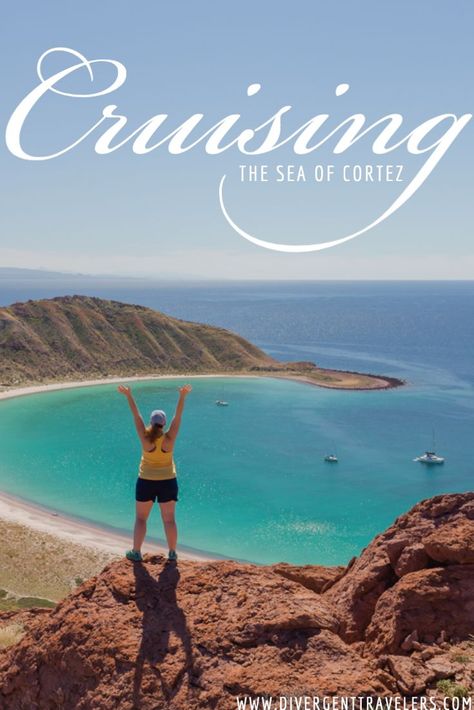 From the moment we were first introduced to the company, we knew we wanted to take a Baja Mexico cruise on the Sea of Cortez with UnCruise Adventures.The days are spent whale watching from the bow, kayaking in crystalline waters, hiking among towering cactus, snorkeling over reefs and bird watching from the edge of a skiff. #Baja #SeaofCortez #Cruise #Planyourtrip #Mexico #Uncruise #AdventureTravel #Adventure Blog Success, Mexico Cruise, Sea Of Cortez, Travel Mexico, Full Time Travel, Travel Plan, Travel Pics, Going Places, Travel Pins