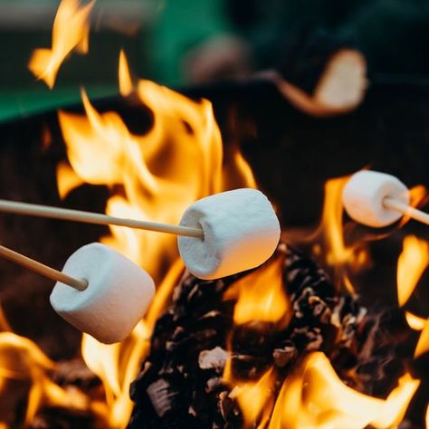 El Camino Bracelets on Instagram: "Have you ever made smores whilst camping? 👀 Toasted marshmallows and a roaring campfire 🔥 always make camping extra fun in our books! 🤩 ⁣ ⁣ And since it’s National Toasted Marshmallow Day, we’d love to hear your favourite camping stories! ⁣ ⁣ What’s your most memorable camping experience? 🏕 Where were you, and who did you camp with? We'd love to hear!⁣ ⁣ #elcaminobracelets #elcaminob #nationaltoastedmarshmallowday #travel #Travelgram #traveling #Travelphoto Family Camping Meals, Roast Marshmallows, Campfire Marshmallows, Moody Gardens, Vanilla Marshmallows, Vanilla Latte, Toasted Marshmallow, Body Powder, Camp Cooking