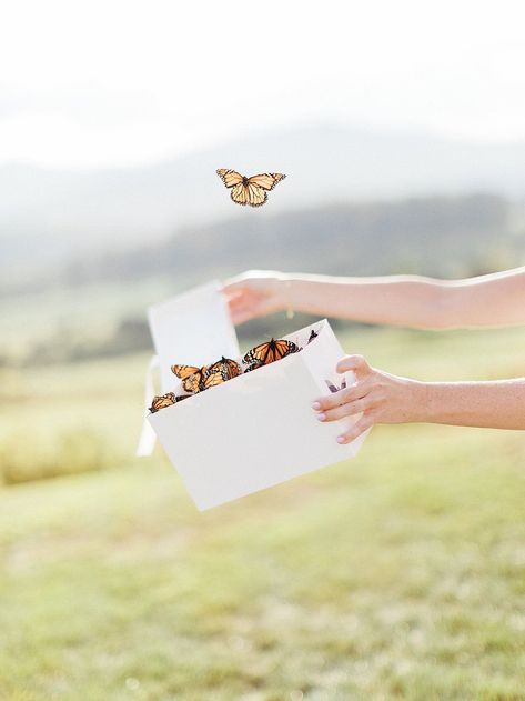 Butterfly Release Wedding, Vineyard Invitations, Butterfly Release, Butterfly Wedding Theme, Pippin Hill Wedding, Wedding Send Off, Elegant Wedding Favors, Wedding Sparrow, Butterfly Wedding