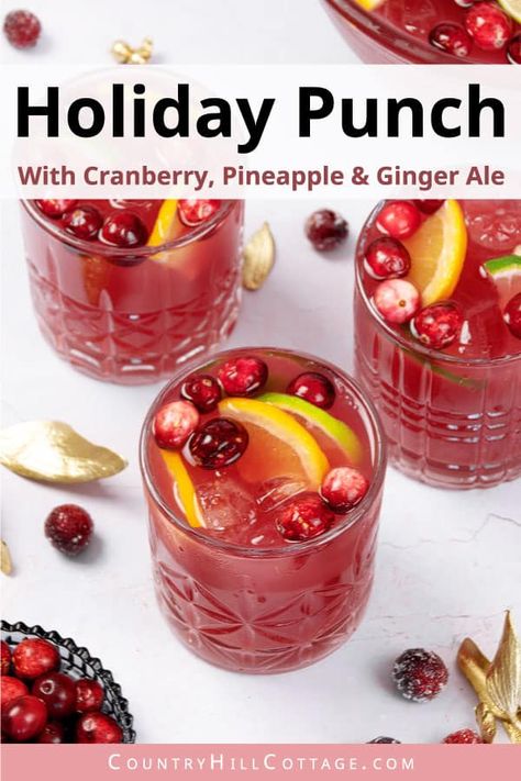 Cranberry Pineapple Mocktail, Cranberry Punch Recipes Ginger Ale, Cranberry Ginger Ale Punch Non Alcoholic, Kid Friendly Punch, Breakfast Punch Recipe, Cranberry Pineapple Punch, Christmas Drinks For Kids, Ginger Ale Punch, Ginger Ale Cocktail