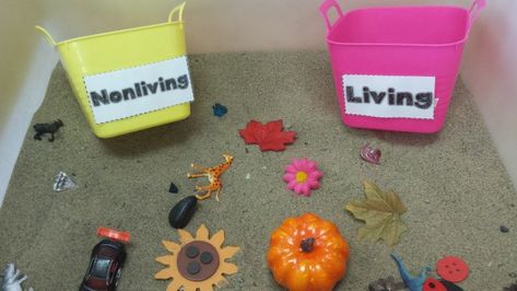 Living and Nonliving Things Living Things Activities Preschool, Living And Non Living Things Project, Non Living Things, Living And Nonliving Things, Characteristics Of Living Things, Activity For Kindergarten, Living And Nonliving, Baby Toys Diy, Kindergarten Centers