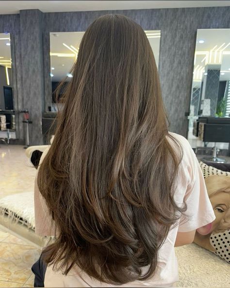 Long Steps Haircut, Long U Cut Hair, V Shape Layers, Subtle Long Layers, U Cut Hairstyle Long Hair, Layered Cuts For Long Hair, Hair V Shape, Long Soft Layers, U Haircut