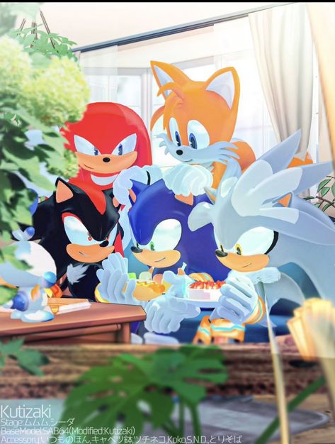 Shadow And Rouge, Blue Cookies, Hedgehog Movie, Sonic Heroes, Silver The Hedgehog, Sonic Funny, Sonic Fan Characters, Sonic Franchise, Sonic 3