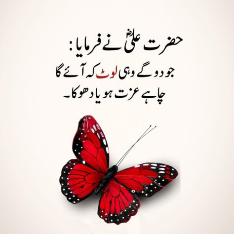 Hazrat Ali R.A Quote ✨Quotes 📝📚 Manners Quotes, Muslim Words, Islamic Lines, Hazrat Ali Sayings, Urdu Quotes Images, Good Day Messages, Lonliness Quotes, Happy Morning Quotes, Islamic Quotes On Marriage