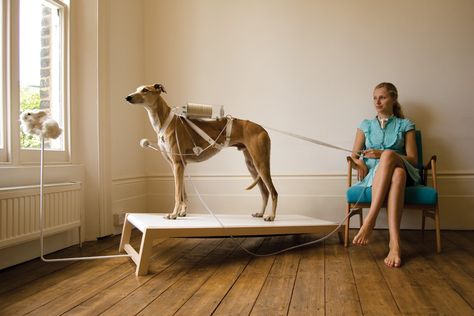 HARVESTED : Life-Support - Respiratory Dog, Revital Cohen and Tuur Balen Psychiatric Services, Speculative Design, Mechanical Ventilation, Art Beat, Assistance Dog, Life Support, Guide Dog, Royal College Of Art, Future Technology