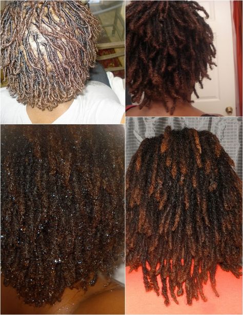 The above picture is of my locs at their different stages. My hair is now at the medium length and some folx look at it and think "Wow, he... Loc Growth, Small Dreads, Hair Growth Progress, Short Locs Hairstyles, Short Grey Hair, Sisterlocks, Locs Hairstyles, Modern Hairstyles, Braids For Black Hair