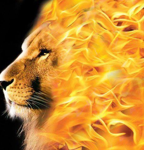 FOR OUR GOD IS A CONSUMING FIRE!   Hebrews 12:29 Could be a cooll concept for a painting. Woord Van God, Lion And Lamb, Tribe Of Judah, Prophetic Art, Lion Art, Lion Of Judah, Arte Animal, Lord And Savior, Christian Art