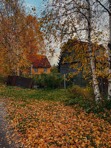 Autumn Village Aesthetic, Downtown Autumn, Fall Village, Autumn Town, Haunted Farmhouse, Autumn Village, Aesthetic Village, Autumn Farm, Mood Aesthetic