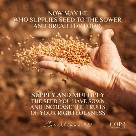 Now may He who supplies seed to the sower, and bread for food, supply and multiply the seed you have sown and increase the fruits of your righteousness. 2Corithians 9:10 #coptorthodox #bibleverse #bible #bibleversedaily #dailyverse #coptic #orthodox @coptorthodox #godsprovision #trustingingodspromises #godspromise #godspromises #2corinthians #2corinthians9 #2corinthians910 #godblessings God's Promise, Quotes Prayer, Daily Verses, Food Supply, Bible Quotes Prayer, Gods Promises, Bible Quotes, Bible Verses, Seeds