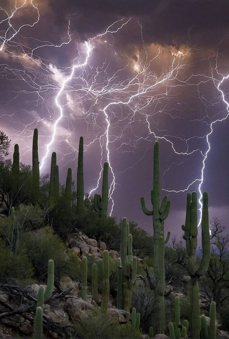 Monument Valley 2, Apocalypse Landscape, Lightning Photography, Saguaro National Park, Beautiful Scenery Photography, Wild Weather, Scenic Photography, Amazing Nature Photos, Lightning Strikes