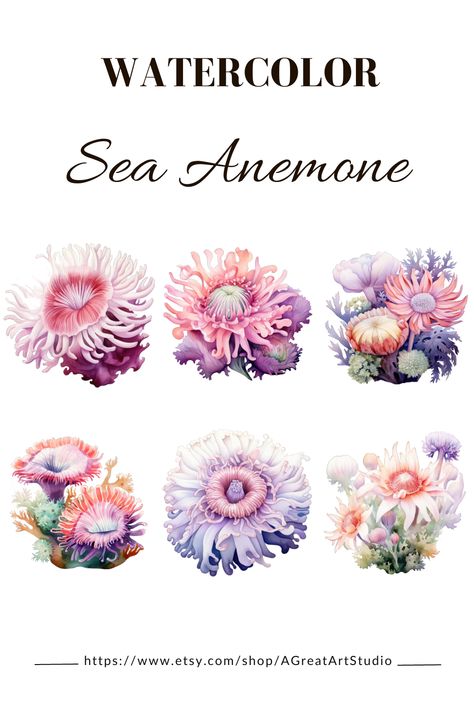 Sea Anemones Drawing, Sea Anemone Art, Sea Anemone Illustration, Sea Anemone Tattoo, Sea Flowers Tattoo, Sea Anemone Drawing, Under The Sea Tattoo, Anemone Ocean, Mermay 2024