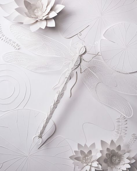 Behance :: Para ti Paper Relief Art, Popup Paper, Dragonfly Craft, Paper Dragonflies, Paper Art Illustration, Torn Paper Art, Paper Relief, Set Design Photography, Craft Paper Art