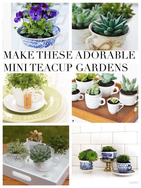 Make these Adorable Mini Teacup Gardens Teacup Plants, Fairy Teacup Garden, Tea Cup Planter, Teacup Gardens, Teacup Crafts, Spring Garden Party, Inspiration Illustration, Tea Diy, Mini Succulents