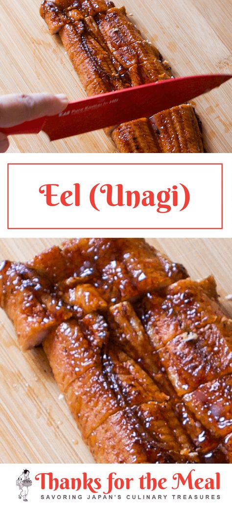 Japanese Eel Recipe, Smoked Eel Recipes, Unagi Recipe, Eel Recipe, Pescatarian Dishes, Eel Recipes, Grilled Eel, Eel Sushi, Japenese Food