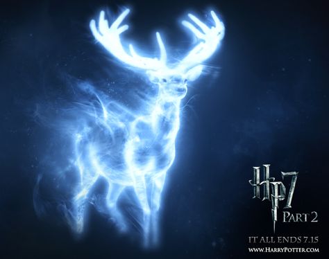 What’s Your Patronus? I got horse-loyal, smart, and willing to take risks for my family and friends. That's so me! Patronus Harry Potter, Harry Potter Quizzes, Behind Blue Eyes, Images Harry Potter, Lily Evans, Ginny Weasley, Remus Lupin, Harry Potter Love, Severus Snape