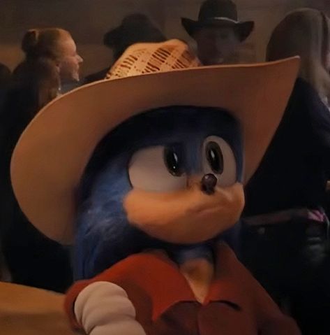 Sonic Pfp, Sonic The Hedgehog Movie, Movie Sonic, Sonic Movie, Hedgehog Movie, The Hedgehog, Sonic, Sonic The Hedgehog, Cowboy