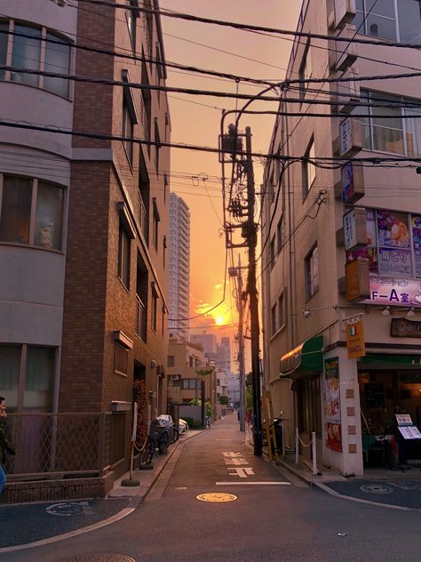 My last night in Tokyo blessed me with this sunset, peeking out at me through the buildings. Tokyo Sunset Aesthetic, Tokyo Sunset, Tokyo Aesthetic, Sunset Road, Sunset Aesthetic, If I Stay, My Last, Night In, Last Night