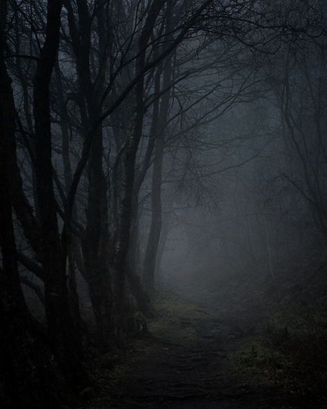 Aww to get lost in the hauntingly beautiful forest  who will get lost with me? . . . . . . .  #jianawesselmusic #jianawessel #goth #gothic #gothlife #occult #witches #gothgoth #gothstyle #dark #witch #instagoth #witchlife #gothicart #gothicmusic #alt #ethereal #darkbeauty #haunting_imagery  #hauntinglybeautiful #darknessisbeautiful #darkness #alternative #jianawesselmusic #jianawessel Misty Photography, Dark Naturalism, Dark Forest Aesthetic, Dark Woods, Dark Nature, Haunted Forest, Foggy Forest, Dark Paradise, 다크 판타지