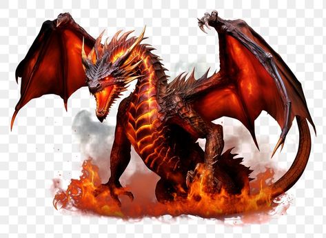 Dragon Aesthetic, Dragon Png, Elemental Dragons, Breathing Fire, Design Dragon, Dragon Fire, Fire Image, Dragon Birthday, Design Objects