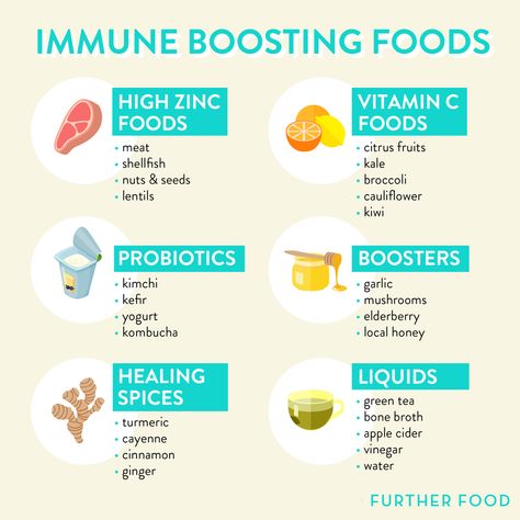 Zinc Foods, Body And Health, Stomach Bug, Immune Boosting Foods, Immune System Boosters, Holistic Health Remedies, Boost Immune System, Healing Food, Holistic Nutrition