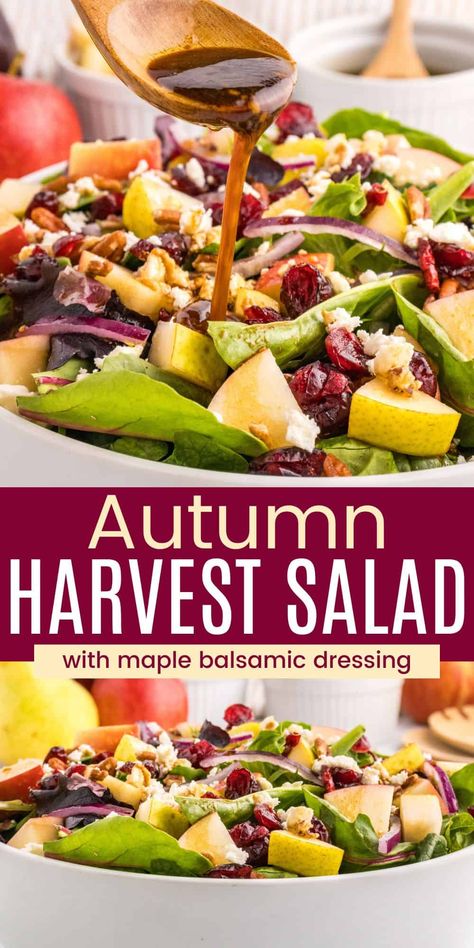 This Harvest Salad is studded with apples, pears, dried cranberries, and crunchy pecans to make a vibrant, fall-forward salad. It's finished with salty crumbles of feta cheese and a gorgeously creamy homemade balsamic dressing. It's wonderful for an autumn lunch or dinner, or as a Thanksgiving side dish! Half Baked Harvest Salad Recipes, Fruit Salad Thanksgiving Recipes, Autumn Apple Salad, Fruit Salad For Thanksgiving, Fall Salads Recipes Autumn, Fall Pasta Salad Recipes, Fall Apple Salad, Balsamic Salad Recipes, Salad With Apples And Cranberries