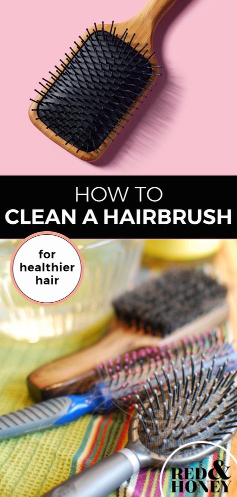 Diy Hair Brush Cleaner, How To Wash Brushes, Best Way To Clean Hair Brushes, Washing Hair Brushes, Clean Hairbrush Buildup, How To Clean Hair Brushes Diy, How To Clean Hair Brushes, Clean A Hairbrush, Cleaning Hair Brushes