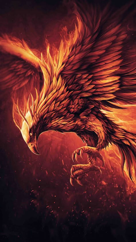 Phoenix Wallpaper, Phoenix Artwork, Pet Dragon, Fire Bird, On Wallpaper, Phoenix Tattoo, Phoenix