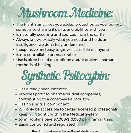 The dangers of Synthetic Psilocybin. Mushroom Therapy, Mushroom Ceremony, Mushroom Healing, Medicine Ceremony, Heart Medicine, Psilocybin Mushrooms, Plant Medicine, Shamanic Healing, Energy Clearing