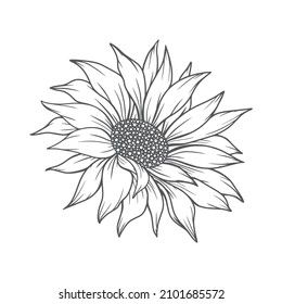 How To Draw Sunflowers, Phomemo Printer, Sunflower Sketch, Mandala Logo Design, Sunflower Sketches, Half Sleeve Tattoo Stencils, Stained Glass Tattoo, Sunflower Illustration, Wood Burning Stencils