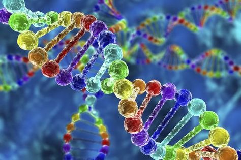 Exome sequencing improves doctors’ ability to diagnose hard-to-pin-down neurogenetic disorders Ancestry Test, Mthfr Gene, Precision Medicine, Ancestry Dna, Genetic Disorders, Genetic Testing, Dna Test, Data Storage, Big Data