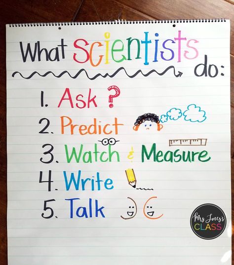 What scientists do --  Kindergarten science Kindergarten Science Lessons, Pre-k Science, Science Area, Kindergarten Anchor Charts, Science Anchor Charts, Science Week, 1st Grade Science, First Grade Science, Science Tools