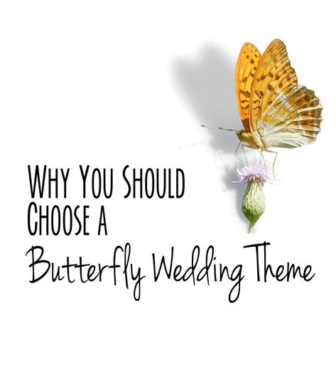 Butterfly Wedding Themes have great significance and meaning. Not to mention they are beautiful and nice to look at! Butterfly House Wedding, Butterfly Themed Wedding Ideas, Wedding Butterfly Theme, Butterfly Theme Wedding, Moon Wedding Theme, Butterfly Wedding Favors, Butterfly Meaning, Butterfly Wedding Decorations, Butterfly Wedding Theme