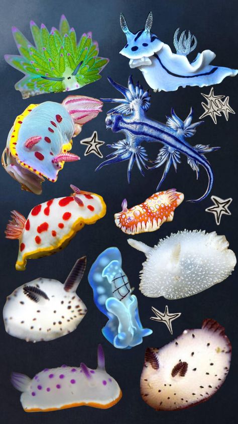 Moodboard Collage, Cool Bugs, Cocoppa Wallpaper, Deep Sea Creatures, Beautiful Sea Creatures, Sea Slug, Aesthetic Moodboard, Aquatic Animals, Pretty Animals