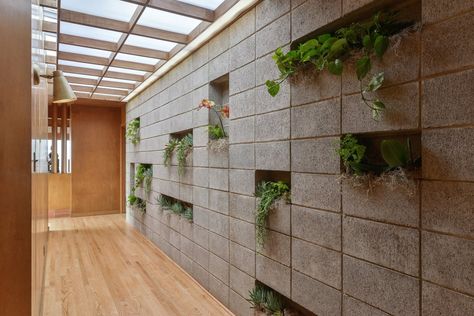 Hallway and Medium Hardwood Floor A skylit entry hall features a concrete block "living wall," as well as new oak flooring. Cinder Block House, Concrete Block House, Brunswick House, Easy Patio, Concrete Block Walls, Cinder Block Walls, Shiplap Wall Diy, Concrete Architecture, Living Roofs